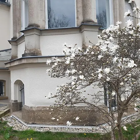 Wiener Palais Am Grossen Garten, Arbeitsplatz, Familie, 8 Pers, Smart-tv *