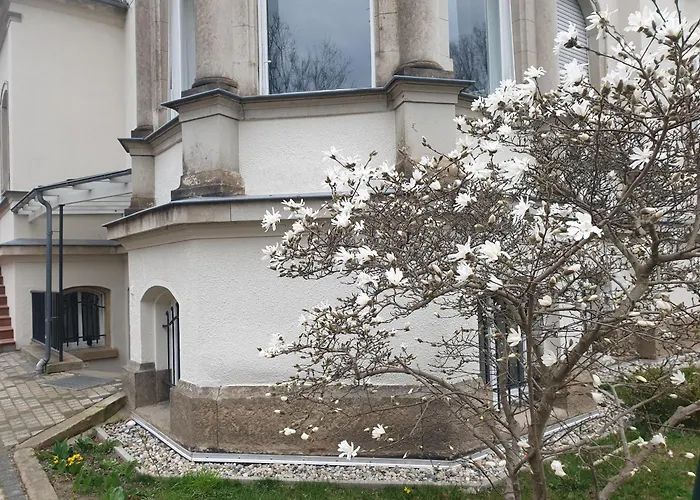 Wiener Palais Am Grossen Garten, Arbeitsplatz, Familie, 8 Pers, Smart-tv *